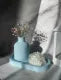 set of 3 (1 mini flowers vase +1 ovel tray +1 poney rose flower candle)