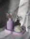 set of 3 (1 mini flowers vase +1 ovel tray +1 poney rose flower candle)