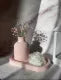 set of 3 (1 mini flowers vase +1 ovel tray +1 poney rose flower candle)